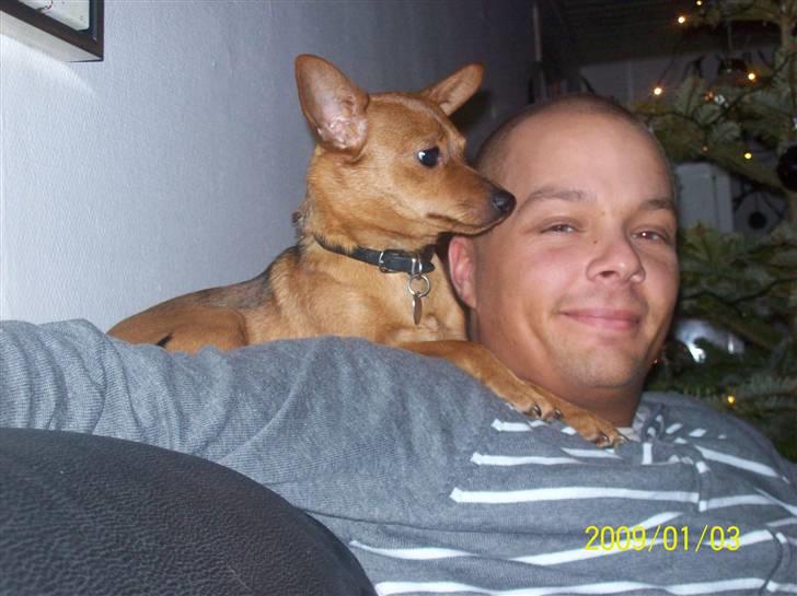 Blanding af racer Ellie - Min dejlige kæreste med papegøjen Ellie billede 4