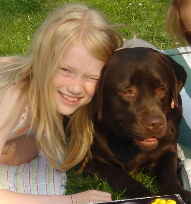 Labrador retriever Lab.Dog's Yasmin (Cocio) - Cocio og Julie for et par år siden, simpelthen så sødt et billede.. billede 9