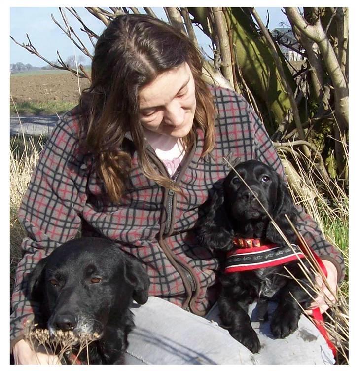 Blanding af racer ROSA  :O) billede 11