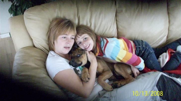 Cane corso TøZen - min Ex-kone og vores dejlige to piger !! Stina og TøZen billede 13