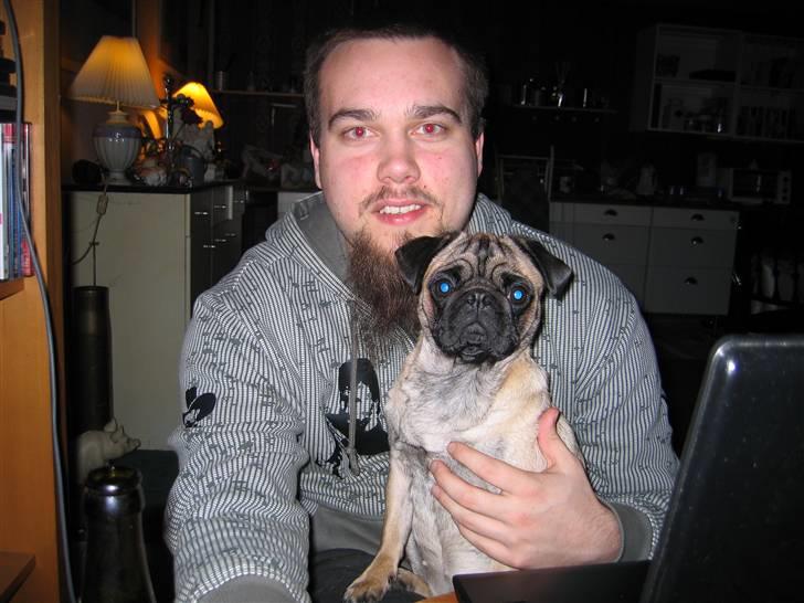 Mops Minnie - RIP 09.03.13 - Mini Minnie med ejer. billede 9