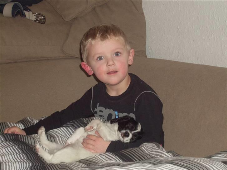 Blanding af racer Bixy Pixi - Her ligger jeg så lige og putter ved "farmand".. ;) billede 4