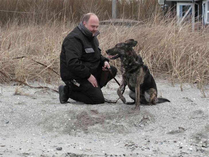 Blanding af racer R.I.P Flanhart - Far siger at jeg er dygtig billede 16