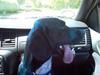 Blanding af racer Zhang R.I.P [ Himmelhund]