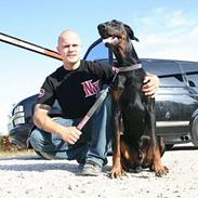 Dobermann Quato 