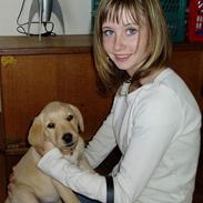 Labrador retriever Chilla