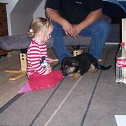 Blanding af racer chika