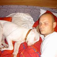 Dogo argentino Lucky """ DØD """