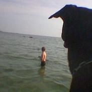 Blanding af racer Indy