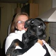 Blanding af racer Buffy