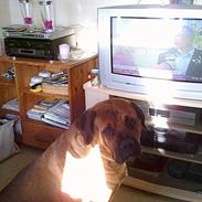 Blanding af racer King