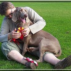 Weimaraner Geniet Geister
