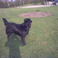 Blanding af racer Emil