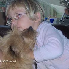 Blanding af racer laban