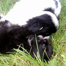 Japanese Sally & Frede ;O)