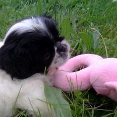 Japanese Sally & Frede ;O)