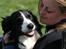 Border collie Aya *15.1.2003 - 12.1.2016* - En hyggestund...