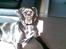 Blanding af racer Zasja *R.I.P.* :'-( - Dejligt at ligge i solen:-)