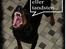 Dobermann Genning's Chavez R.I.P.
