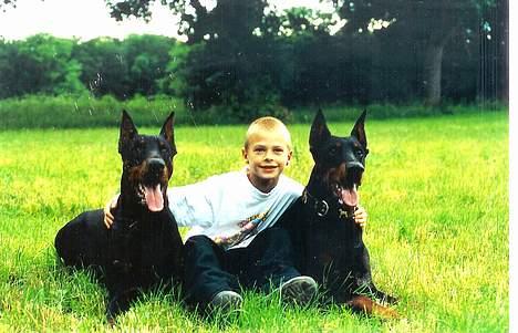 Dobermann Genning's  Baron R.I.P. - Kovo,Thor (Kovo´s søn) og Min Søn Patrick....Det er Kovo til venstre for Patrick billede 8