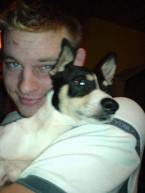 Dansk svensk gaardhund max - blir lidt genert , alle de billeder altså :) billede 5