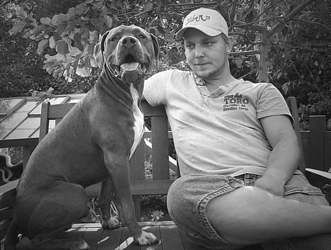 Amerikansk staffordshire terrier Tristan billede 20