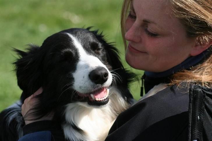 Border collie Aya *15.1.2003 - 12.1.2016* - En hyggestund... billede 5