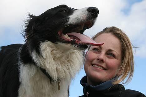 Border collie Aya *15.1.2003 - 12.1.2016* - "Mor" kigger beundrende på mig - Verdens bedste hund, tænker hun :o) billede 6