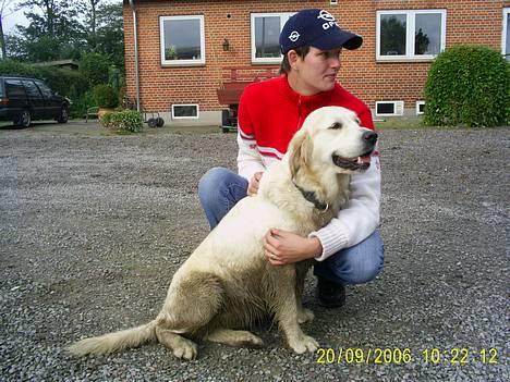 Golden retriever Bamse - Min kære søster som er et år ældre end mig :D Luna billede 4