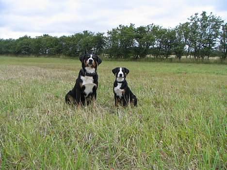 Appenzeller sennenhund Røbi von Razco "Razco" - Min niece Heika og jeg sommeren 2005, hvor Heika er ca. 5 mdr billede 5