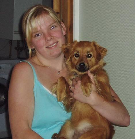 Blanding af racer Mille billede 17