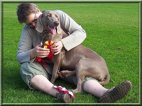 Weimaraner Geniet Geister  - Præmietyr til DKK´s Ballerup udstilling 17 Sep. 06 billede 3