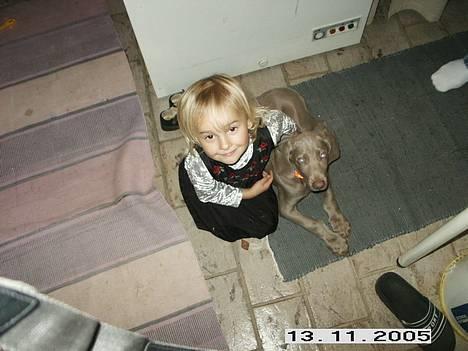 Weimaraner Geniet Geister  - Børne socialicerings træning, med min sweetie niece *ss* billede 5