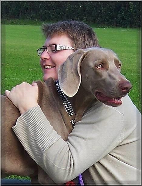 Weimaraner Geniet Geister  - Py ha.. Så er vi bare os selv igen *ss* (eft. udstillings tamtam) billede 6