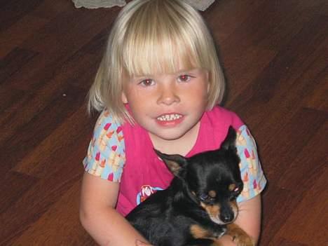 Chihuahua Tyson - nana og jeg billede 5