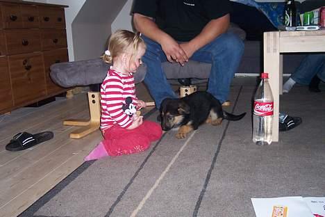 Blanding af racer chika - lige min størrelse billede 5