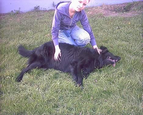 Blanding af racer Emil - puuha kan ikk mere hehe det ser mere voldigt ud end det er billede 7