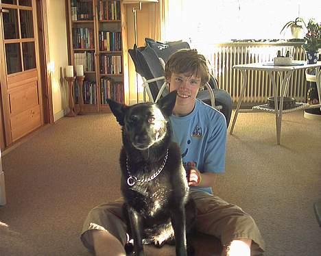 Sort spids Bjørn - bjørn og mig  billede 1