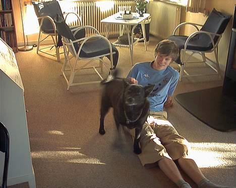 Sort spids Bjørn - han er lidt småtyk :D billede 2