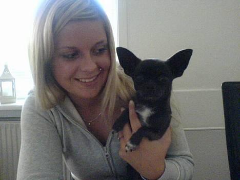 Chihuahua Little Look  - Her er jeg med min mutti ;) billede 13