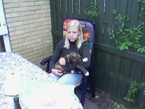 Blanding af racer Mailo  R.I.P. - Mailo og hans gamle ejer Helene billede 14