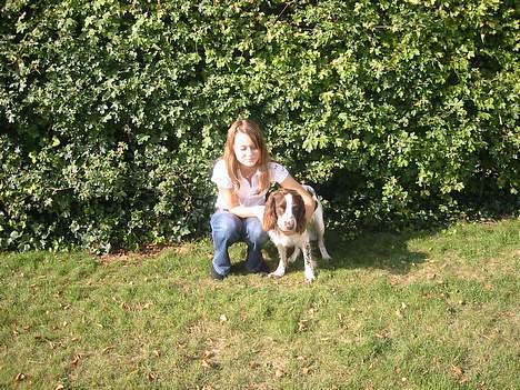 Field Trial spaniel Chester billede 16