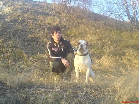 Blanding af racer (Bull/Rott) Morgan R.I.P - Mig Og Onkel Nicki billede 13