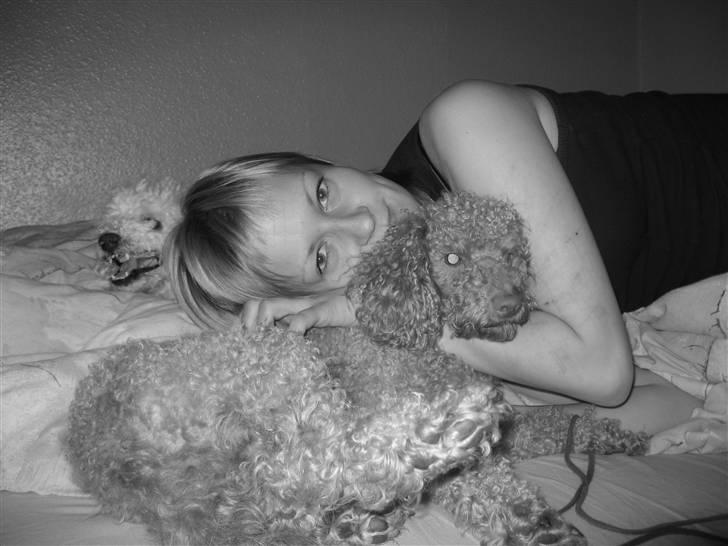 Dværgpuddel Ludvig - Ludvig og jeg :) billede 6