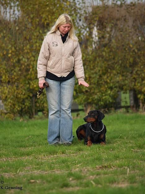 Dobermann (Genning's Excalibur)Nero - Nero dækkes af. billede 9