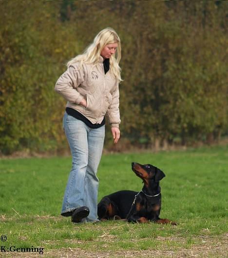 Dobermann (Genning's Excalibur)Nero - Fin kontakt ;o) billede 10