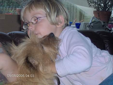 Blanding af racer laban - her er labans to bedste venner makker og mie :-)) billede 3