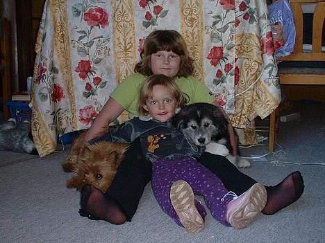 Blanding af racer laban - her er laban som lille sammen med makker anja og mie billede 6