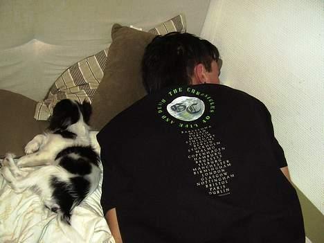 Japanese soya - mine to fyre tager sig en lur hæ hæ billede 4