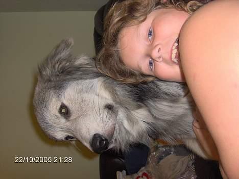 Blanding af racer laban - her er laban og anja som hygger :-)) billede 10